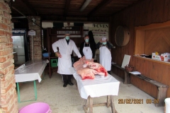 1.KOLINE